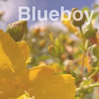 Blueboy (@officialblueboy) 's Twitter Profile Photo Blueboy (@officialblueboy) 's Twitter Profile Photo