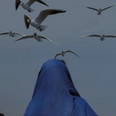 m_niki1's profile picture. 