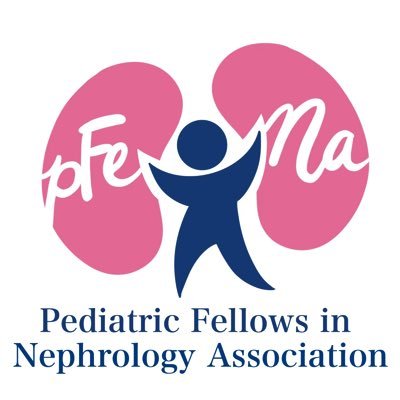 @pFeNa_fellows