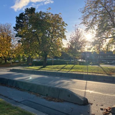 Xandy_vfx's profile picture. 