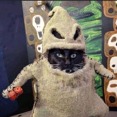 starrymoon22's profile picture. directioner
FRATELLI
jacaerys velaryon protector
YUKI P3!!!!