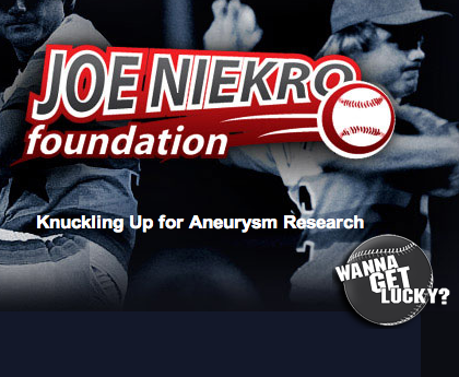 Brain Aneurysm Support Group - Local Chapter of the Joe Niekro Foundation in the Triangle, NC
