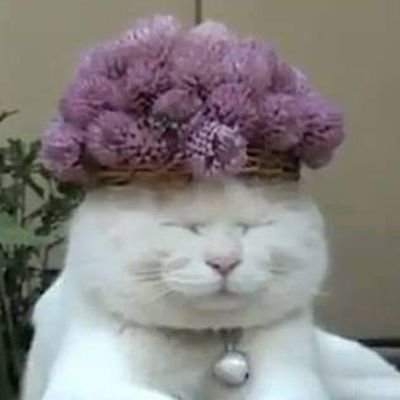 LauraDonati11's profile picture. male non fare paura non avere