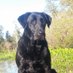 Bruce Bradley (@brucebrad6345) Twitter profile photo Bruce Bradley (@brucebrad6345) Twitter profile photo