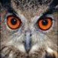 CachoCode (@cachocode) 's Twitter Profile
