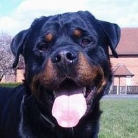 DWR85 (@dwrobbo85) 's Twitter Profile Photo DWR85 (@dwrobbo85) 's Twitter Profile Photo