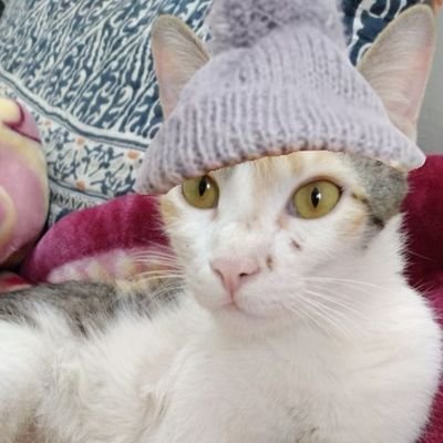 eakans's profile picture. 