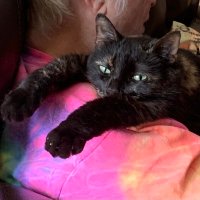 Ruth’s Mom (@ellendean78) 's Twitter Profile