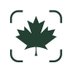 Maple Leaf Strategies (@mapleleafstrat) Twitter profile photo Maple Leaf Strategies (@mapleleafstrat) Twitter profile photo