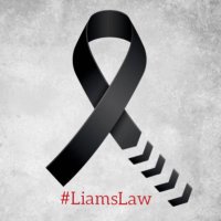 Mickey ▪️ Rest in Paradise Liam (@mickeychaseee) 's Twitter Profile