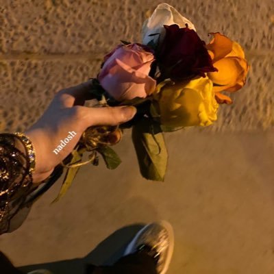 nada9dosh's profile picture. بكالوريوس ذكاء اصطناعي AI 🦾جامعة جدة