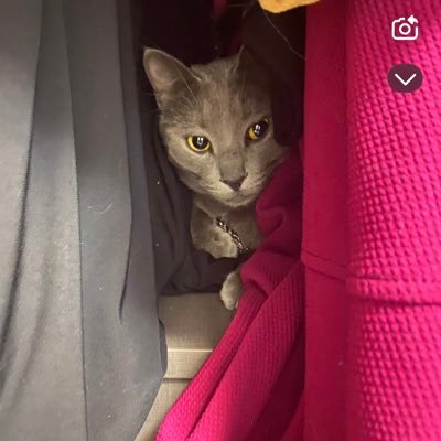 Nengizzle19's profile picture. Shop @Homehelpers_appliances