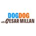 DogDog (@dogdoghq) Twitter profile photo DogDog (@dogdoghq) Twitter profile photo