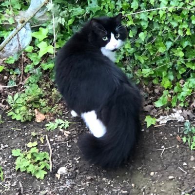 Awonluvsmc's profile picture. 