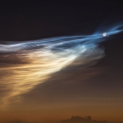 jusqu_aubot's profile picture. 