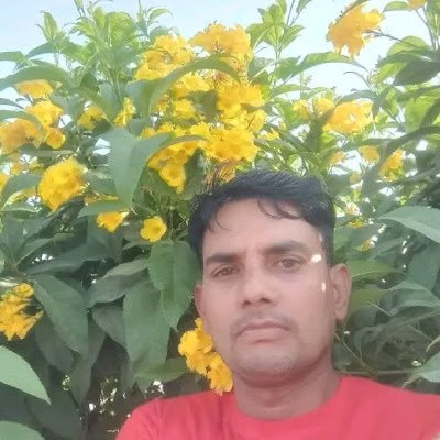 ShaileshKu4060's profile picture. 