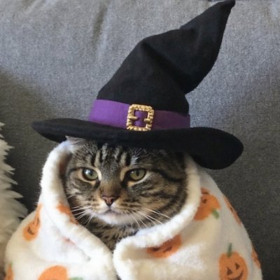 noordwind's profile picture. 