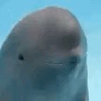 el_padrino_000's profile picture. 