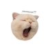 쭈냐🍥 (@yawnzznyaan) Twitter profile photo 쭈냐🍥 (@yawnzznyaan) Twitter profile photo