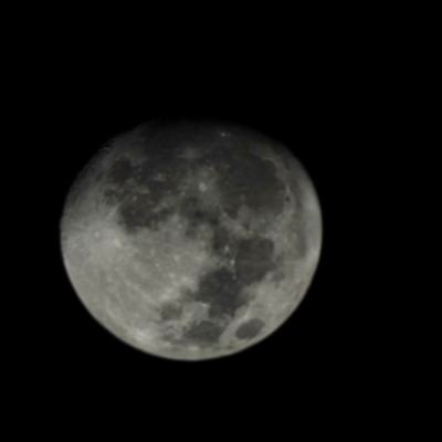 trilineatus's profile picture. 