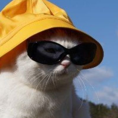 elviracroft's profile picture. get in loser we are having a mental breakdown