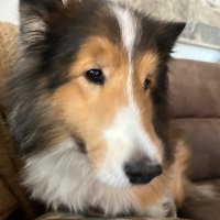JOHN DUBAY (@jake_dubay) 's Twitter Profile Photo JOHN DUBAY (@jake_dubay) 's Twitter Profile Photo