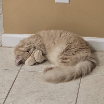 AK3Reload's profile picture. i smash brothers occasionally