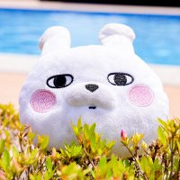 うたぴょん (@utapyon0403) 's Twitter Profile Photo うたぴょん (@utapyon0403) 's Twitter Profile Photo