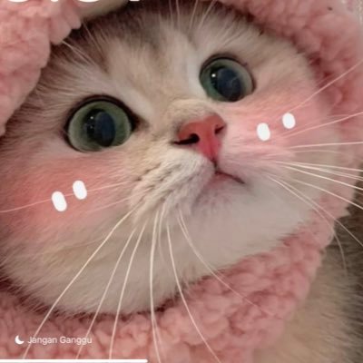 JeamPearl60587's profile picture. 