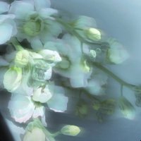 さらさ (@2qyfzo) 's Twitter Profile Photo さらさ (@2qyfzo) 's Twitter Profile Photo