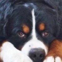Frostedsleet Says (@kell38707) 's Twitter Profile Photo Frostedsleet Says (@kell38707) 's Twitter Profile Photo