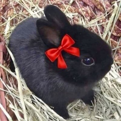 emm8151's profile picture. I like horror a little too much