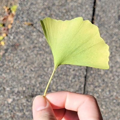 yume_rohi663's profile picture. 20↑/👹滅単行本済
🌫️受け中心/基本壁打ち？/地雷なしのためご注意下さい。 https://t.co/Sw9MErxvs0