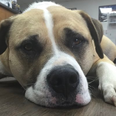 bdefnall's profile picture. 