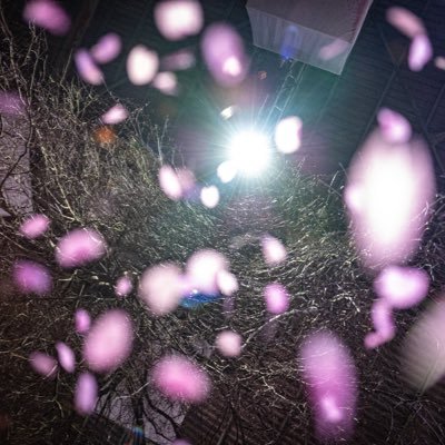 yodasitasinja's profile picture. 