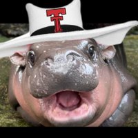 Raider Moo Deng 🌵 (@raidermoodeng) 's Twitter Profile