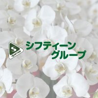 シフティーングループ|住宅型有料老人ホーム (@shift_coltd) 's Twitter Profile