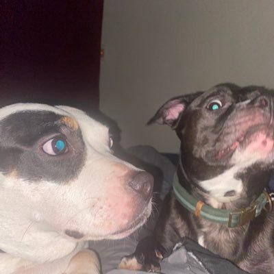 whyimDanNY's profile picture. gaming, NYM, NYG, NYK, NYR, Auburn, marvel, TWD & whatever! thats why i am DanNY! Switch FC: SW-0369-2672-3313 PS5: WhyImDanNY Xbox: WhyImDanNY