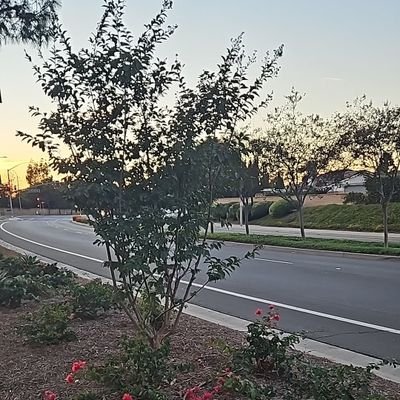 OCTeacher1997's profile picture. 