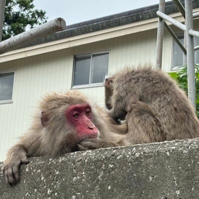 hPe2eZwPkc18139's profile picture. 