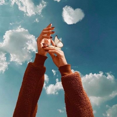 Sh___00er's profile picture. عامل الناس باخلاقك لا بأخلاقهم ✨🌹