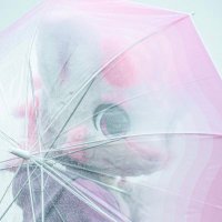 牙牙仔🌸 (@yayazaiovo) 's Twitter Profile Photo 牙牙仔🌸 (@yayazaiovo) 's Twitter Profile Photo
