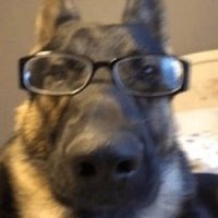 Unlucky (@ulysses_369) 's Twitter Profile Photo Unlucky (@ulysses_369) 's Twitter Profile Photo