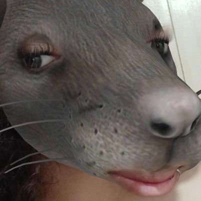 meirellescx's profile picture. 