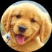 Dylan AB ๐ต๐ธ๐๏ธ (@dylanabradfield) Twitter profile photo Dylan AB ๐ต๐ธ๐๏ธ (@dylanabradfield) Twitter profile photo