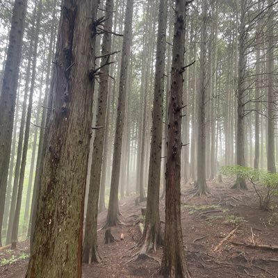 WildRoadBigHelp's profile picture. リバウンド中