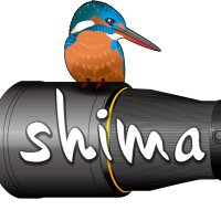 shima (@shima12041204) 's Twitter Profile Photo shima (@shima12041204) 's Twitter Profile Photo