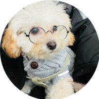 𝓨̆̈ (@o9rb514) Twitter profile photo