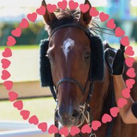 22号 (@lj8qldytla5jogo) 's Twitter Profile