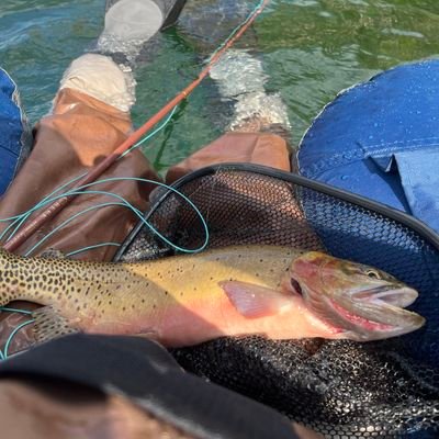 Alpine_Eric's profile picture. Christ is King! I spend most of my free time with family, at church, or above 11,000 feet chasing cutthroat trout.